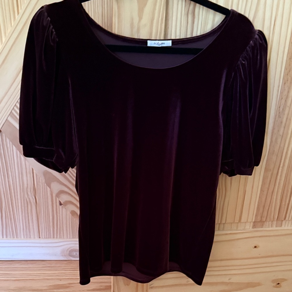 Maurices Velvet Blouse in Deep Burgundy